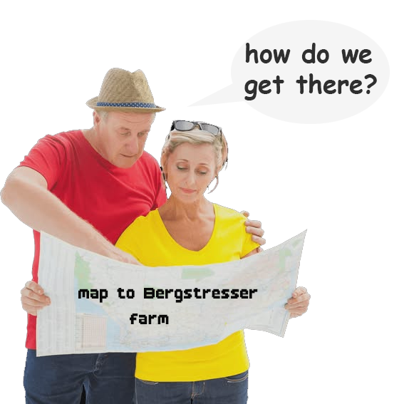 Couple with map